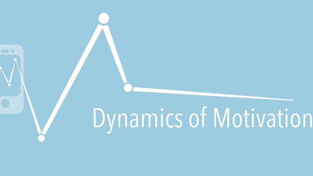 Website „Dynamics Of Motivation“ Online